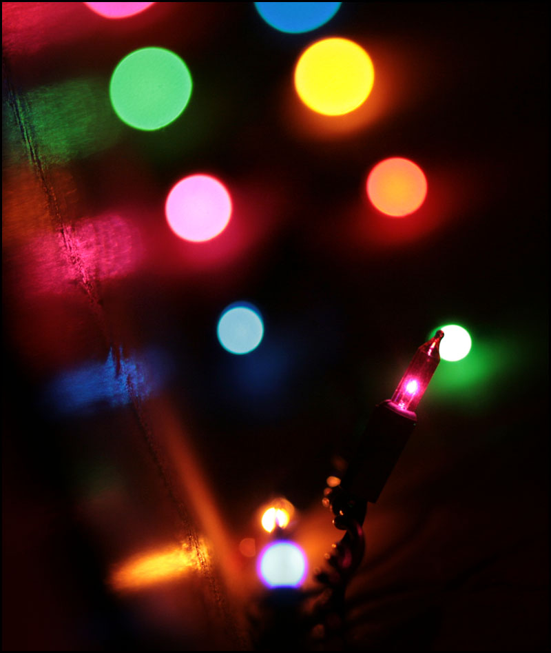 Illustration for article titled Photo Contest: Christmas Lights